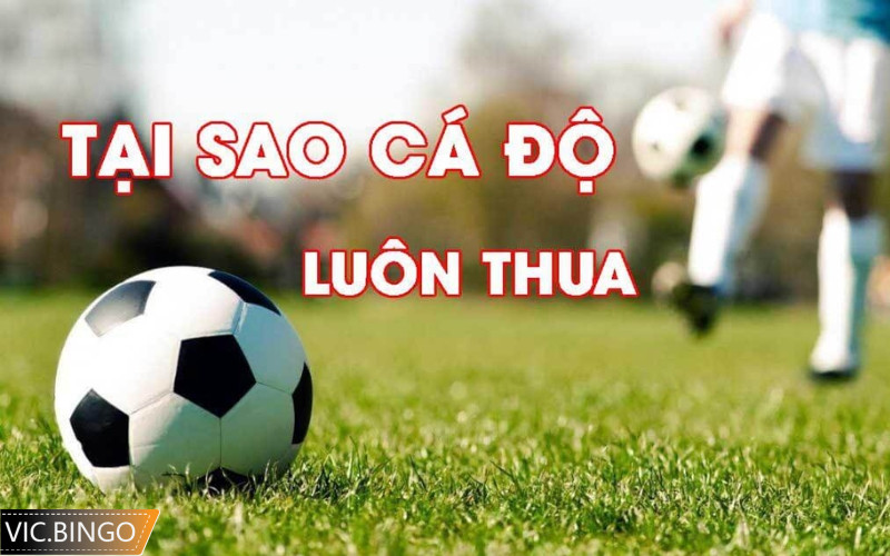 vì sao cá độ bóng đá luôn thua